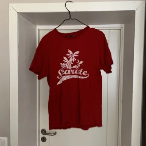 T-shirt - Gammal t-shirt som inte kommer till användning. Hål i nacken. Ej struken därav så skrynklig. Annars i fint skick!