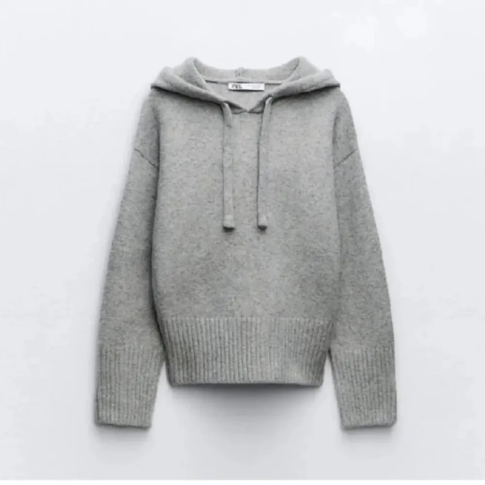 Säljer denna super snygga hoodie från Zara då den inte kommer till användning💕(skickar egna bilder vid intresse) Jag köpte den i butik för 500kr . Tröjor & Koftor.