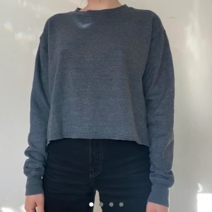 Brandy Melville sweatshirt  - Mörkgrön/grå sweatshirt från brandy Melville   Lite croppad i modellen   Storlek onesize (xs-m)  Pris kan diskuteras ☺️