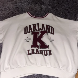 Pull and bear- tröja - Säljer denna collegetröjan från Pull and Bear i strl. M Använd fåtal gånger 60kr+ frakt