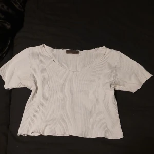 Kortärmad tröja - Denna tröjan andvänder jag inte längre och den är randig i materialet. Den är från Vermoda och passar personer från S-M frakt kostar 25kr