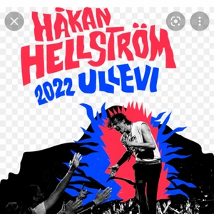 Håkan biljett 26/8 - Jag har blivit sjuk och säljer mina Håkan Hellström biljetter 26/8!! Styckpris 500