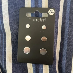 Örhängen  - Aldrig använda silvriga örhängen priser är inte hugget i sten