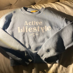 Blå sweatshirt  - Blå sweatshirt❤️ den har tre små fett fläckar de syns inte så mycket men på andra bilden kan ni se ❤️ nypris 299 