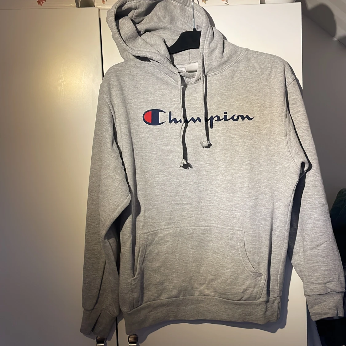 Hoodie champion