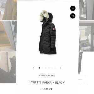 Canada goose black label Lorette parka - Canada goose black label