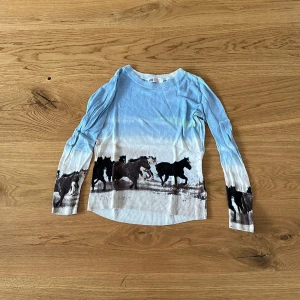 Tröja hästmotiv  - Tröja från H&M med hästmotiv storlek 134-140, material: 60% viskos, 40% bomull  Använt sparsamt 