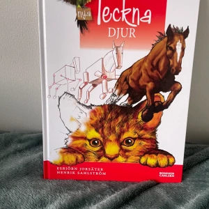 Teckna djur  - Behöver inte säga så mycket  Bra skick ! 30kr 