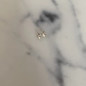 Örhängen  - Silver örhängen 