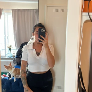 Croppad topp med krage - Köpt på zara, aldrig använd med prislappen kvar.