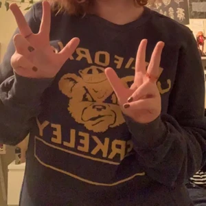 Collage tröja med tryck L - Är lite tight för att vara L speciellt i ärmarna skulle säga st den är mer som en M 