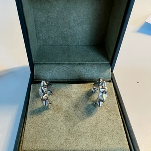 Edblad örhängen  - Jag säljer mina fina edblads örhängen pågrund av att jag inte använder de längre, bra skick ( Köparen står för frakten)💗