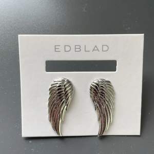 Säljer nu dessa jättefina slutsålda silvriga örhängerna från Edblad. Aldrig använda eller testade! Nypris: ca 350kr, mitt pris 165 💞💞