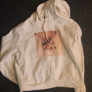 Ariana - En ariana grande hoodie med en ytterst liten fondationfläck som ej syns men drar ner priset 