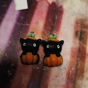 Pumpa katt  - Litten söt katt i en pumpa perfekt för halloween