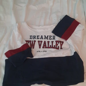 Dreamer New Valley t-shirt - En magtröja i bra skick. Köpt på HM knappt använt den. Säljer för att de inte riktigt är min stil längre. Tvättad och strykt. Priset kan diskuteras👍🏻