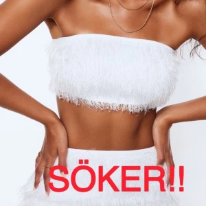 SÖKER TOPPEN PÅ BILDEN! - Hejsan! Söker toppen på bilden i storlek 36💗