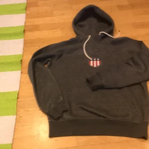 Hodie - En hodie i bra skick 