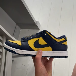 Nike dunk michigan low - Säljer mina äkta nike dunk michigan low då jag köpte dem fast it använt dem. Köpta från footlocker i sthlm har ingen box till denna för jag slängde den på plats