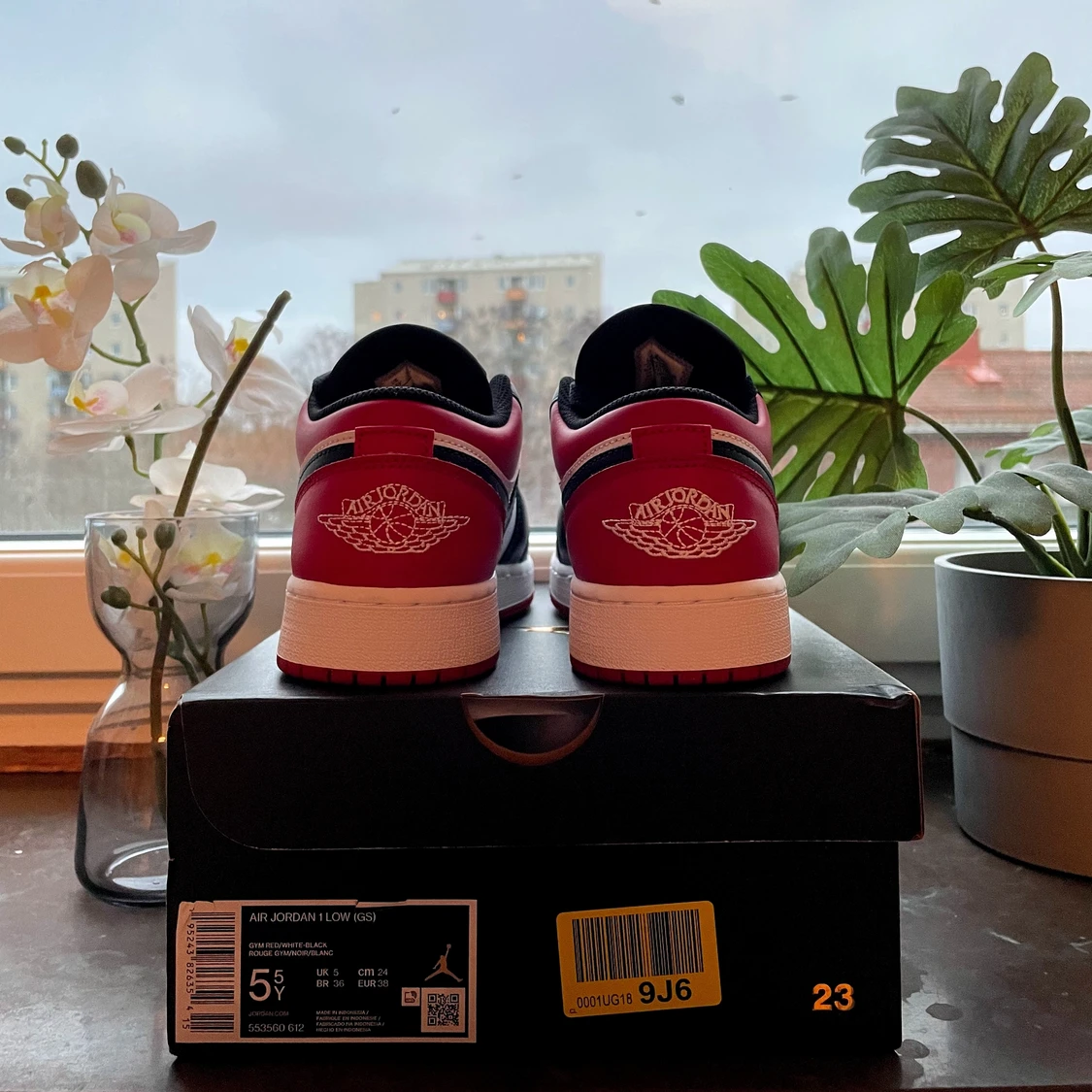 JORDAN LOWS - gym red - 91