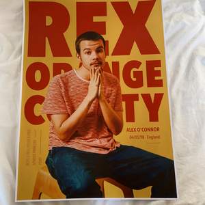 Säljer en helt ny Rex Orange County poster! Köptes i höstas men har aldrig använts. Orginal pris 300kr, säljer för 150 men priset kan diskuteras! 