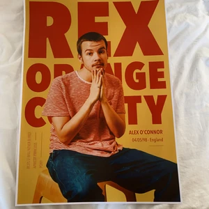 Poster  - Säljer en helt ny Rex Orange County poster! Köptes i höstas men har aldrig använts. Orginal pris 300kr, säljer för 150 men priset kan diskuteras! 