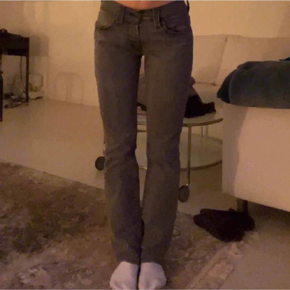 Gråa levis lågmidhade