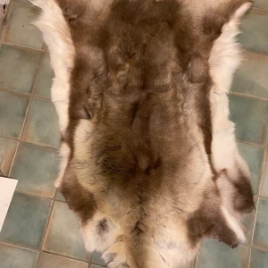 Renskinn - Säljer detta renskinn som endast använts till styling. Nypris 1799kr på Åhléns. Det är äkta päls (tyvärr). Hämtas hemma hos mig på Kungsholmen eller i Sollentuna 