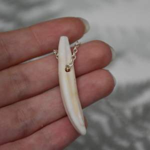 Halsband med en tand från vildsvin på en silvrig kedja. 
