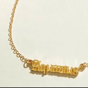 Aquarius halsband  - Är ingen vattuman vet varför inte heller varför jag fick detta halsband men väljer att sälja den, har aldrig använt och den är ungefär 1 månad gammal.