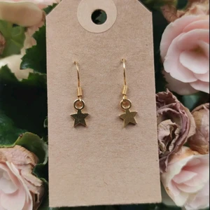 Stjärnörhängen - Dessa örhänge kostar 15kr plus frakt! 🥰