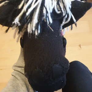 En käpp häst som heter bilder 200 kr + frakt nyköpt kostade 250kr❤ - Den är lika stor som ett A4 papper❤