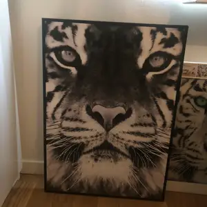 Jag säljer dessa två tavlor för 300 kr tillsammans, den ljusa tigernn på andra bilden är i glastavla. #tavlorstycken