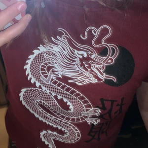 T-shirt  - En tröja i ribbat och har en drake på sig den kostar endast 20 kr + frakt som är 24.