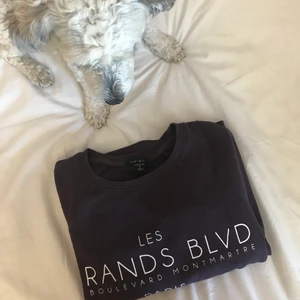 Snygg sweatshirt  - Lilla sweatshirt. Långärmad med vit text på bröstet.