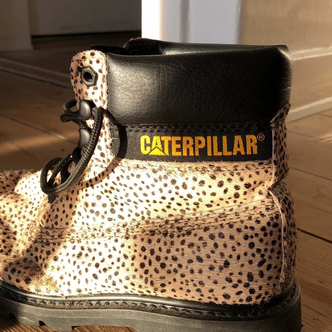 Dotted boots from Caterpillar - 91