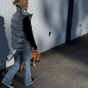 Silver väst  - Silvrig väst