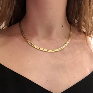 Guldigt halsband från &stories!  - Guldigt halsband från &stories! Aldrig använt! Kan mötas i Stockholm 