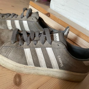 Adidas campus mocca - Adidas skor i mocca, behövs nya skosnören om man inte vill använda dom som slipons. 🦋