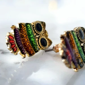 Uggle örhängen - Flerfärgade uggle örhängen. Super söta örhängen i regnbågensfärger. Lätta och bekväma. Köpta för 200kr. Kontakta vid intresse🌈🦉