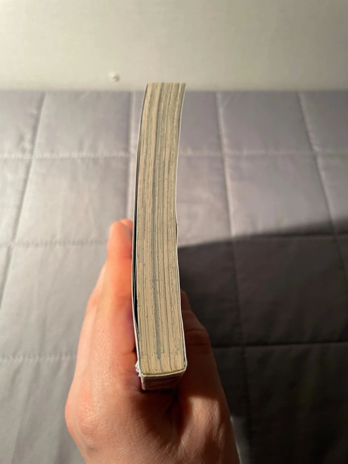 Re:Zero - Starting Life in Another World - Chapter 1: A Day in the Capital - 3