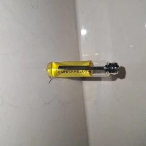 Essnce  - Smidigt parfymprov från Carashmellow. Testat 2 gånger. Locket gick sönder när jag skulle testa testern så är svårt att öppna produkten. Men all produkt är i