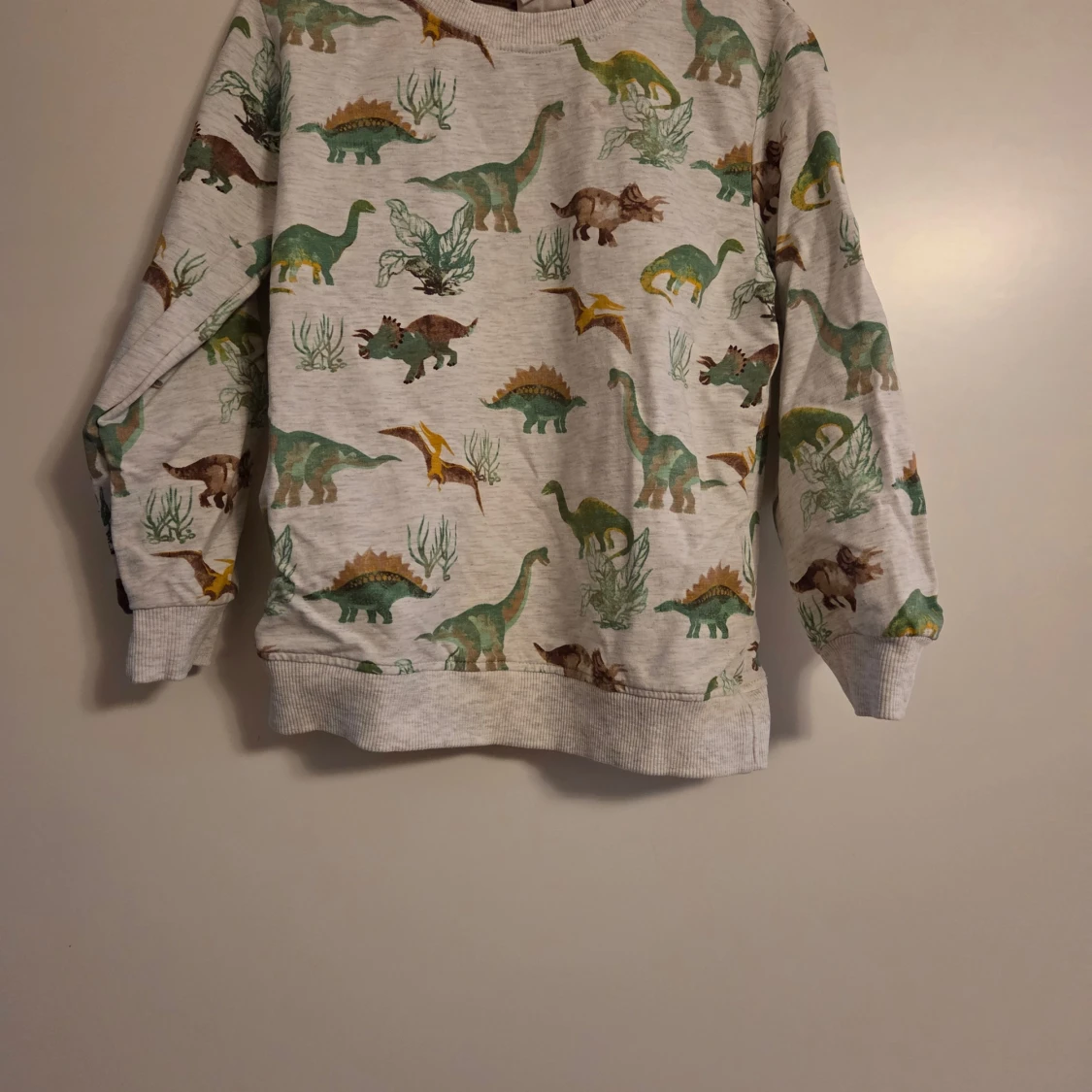 Dinosaurie-mönstrad sweatshirt från Minymo