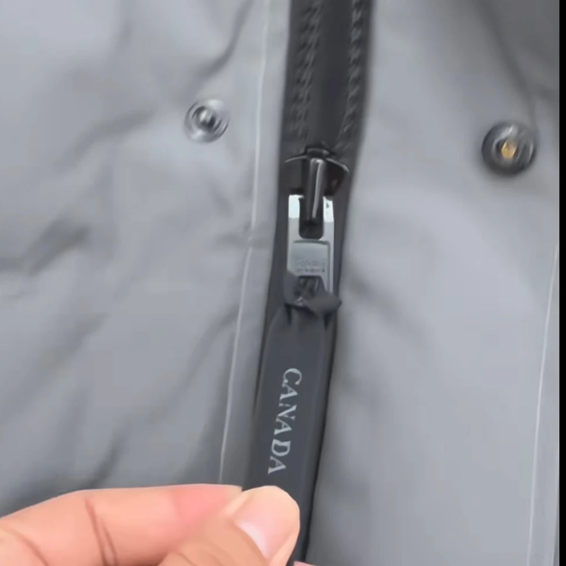 Canada goose MACMILLAN - 3