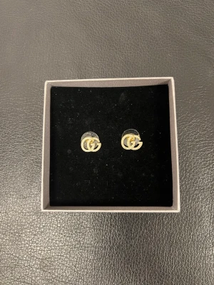 Guldiga GG örhängen  - Rostfria örhängen superfina guld