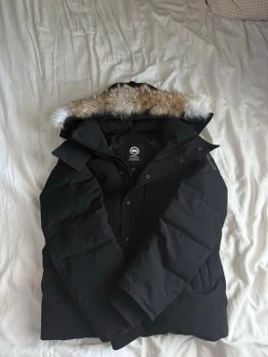 Canada goose wyndham black lable - Canda goose wyndham, xs/s, black lable, får med allt, kan gå ner lite grann