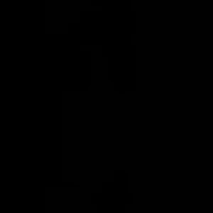 Fri frakt annons - Fri frakt på allt jag säljer