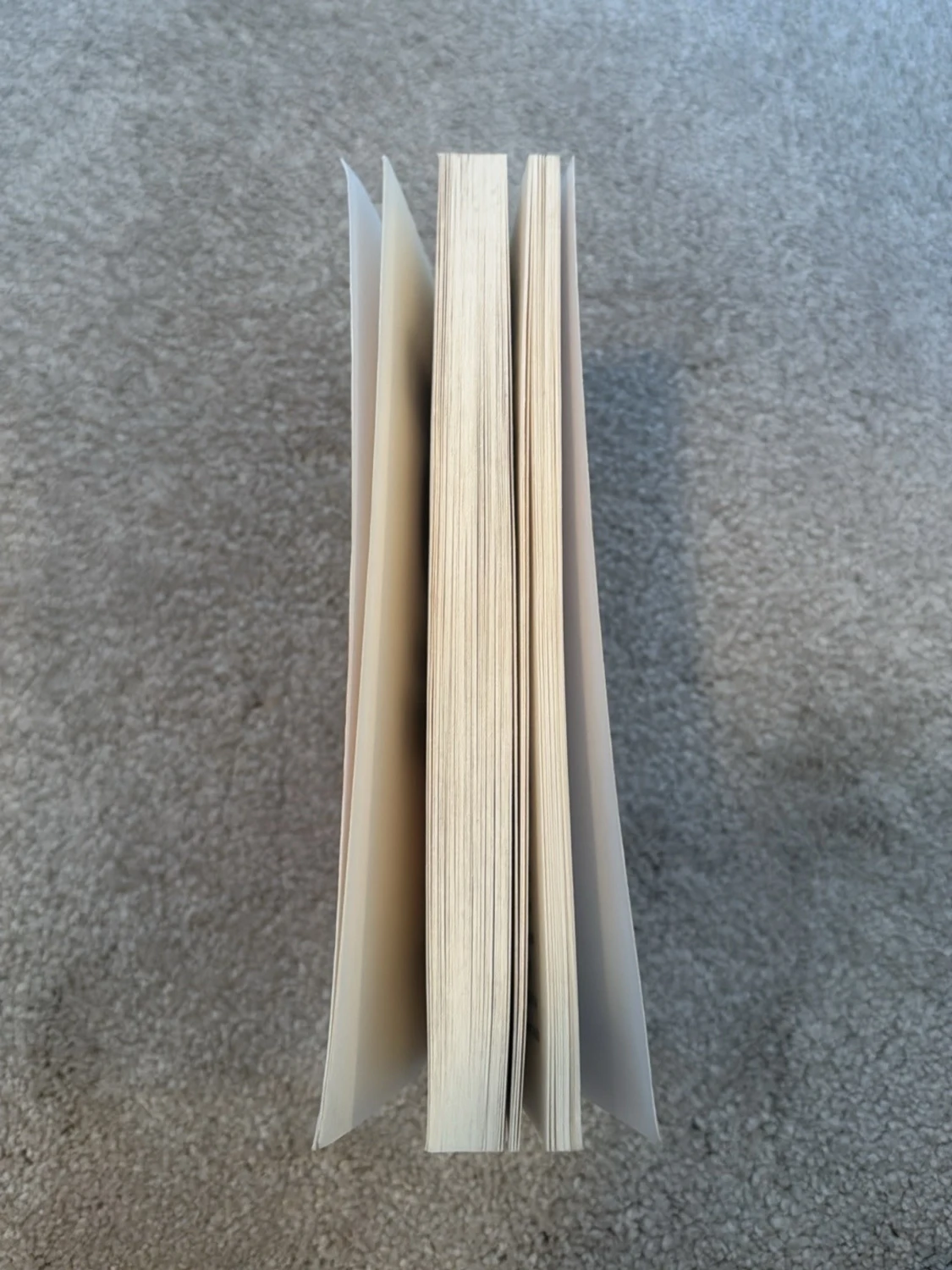 November 9 - Colleen Hoover  - 3