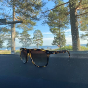 Bruna Wayfarer-solglasögon OneWear - Snygga solglasögon från OneWear Sweden i klassisk wayfarer-modell. Köpta då dom släpptes åter från onewear i somras! Använda max 3-4 gånger så inget tecken på användning då duken till att tvätta glaset är oöppnad!😁 Bara att skriva vid minsta lilla!