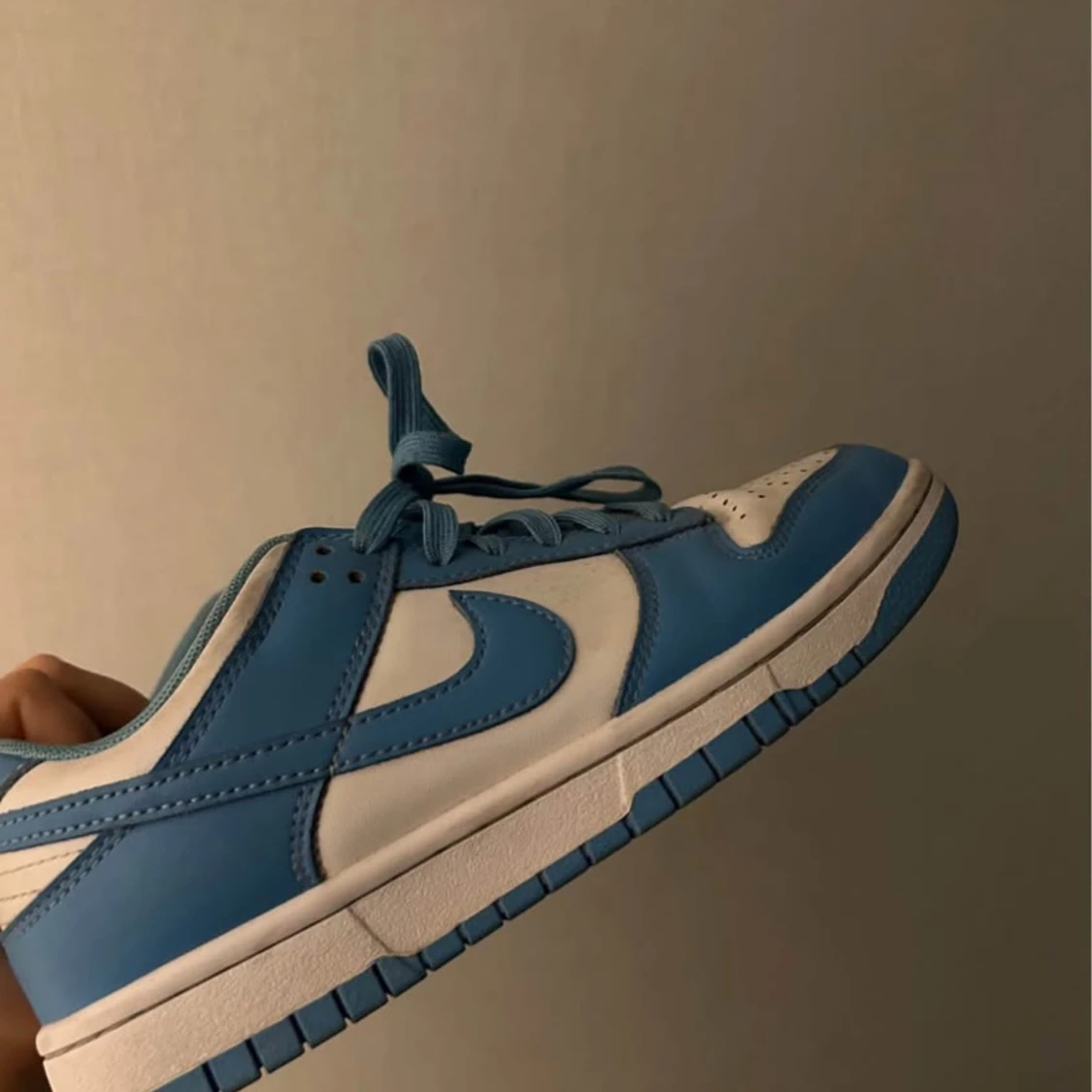 Nike Dunk Low blå och vita sneakers